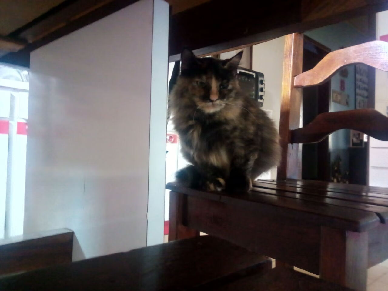 AI智能分析助力青训,培养未来足球精英,足球人工智能大数据预测