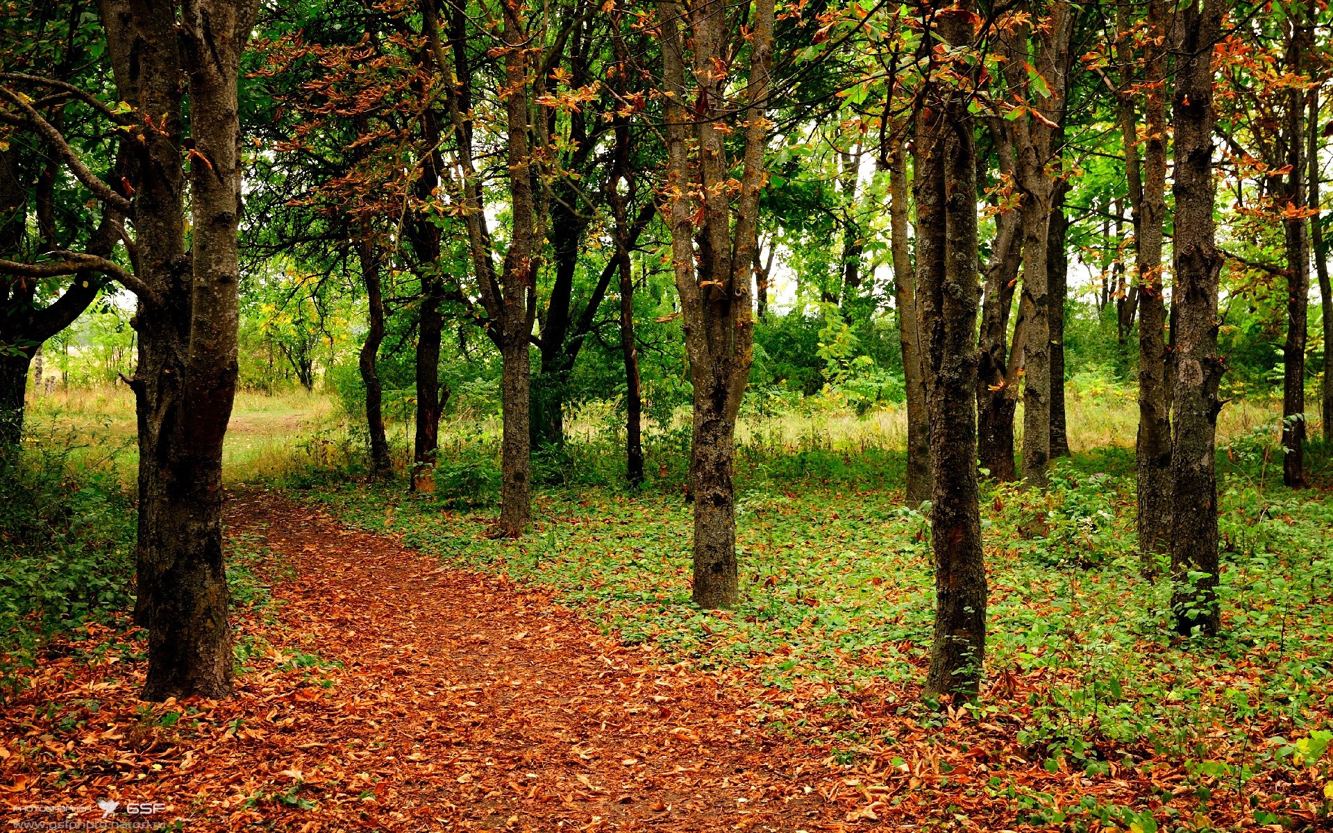 _大师杯迎来年度终极对决,冠军悬念持续升温_,大师杯2020