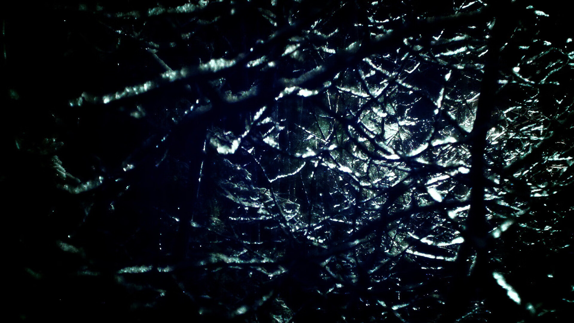 _老将带领奇才，战斗精神令人敬佩_，老将挂帅出征