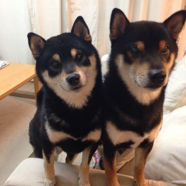 _老将带领奇才,战斗精神永不言弃_,老将上战场的诗句