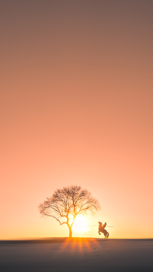 _老将经验丰富,奇才稳步前行_,经验丰富的老将