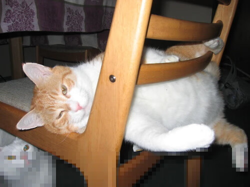 _老将经验优势明显，奇才表现坚韧_，老将什么