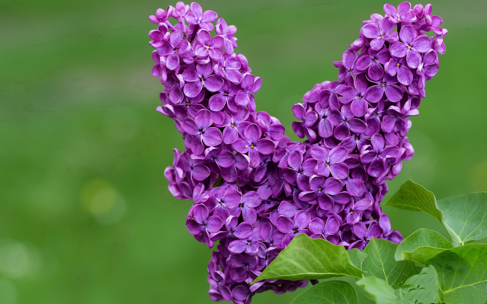 “救援行动：危机瞬间的人性光辉”，救援行动原型