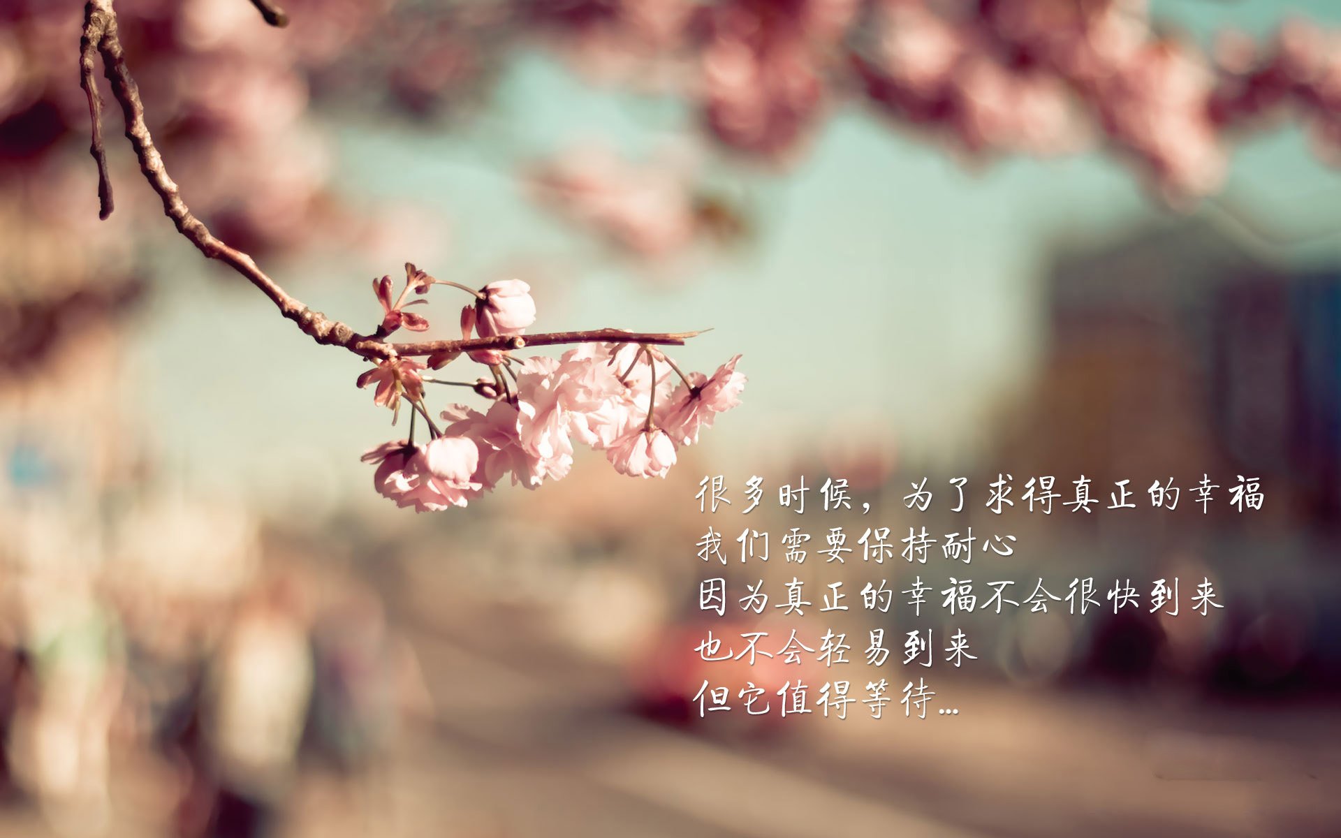 英超豪门教练更迭频繁，谁能稳住帅位？，英超主教练年薪排名