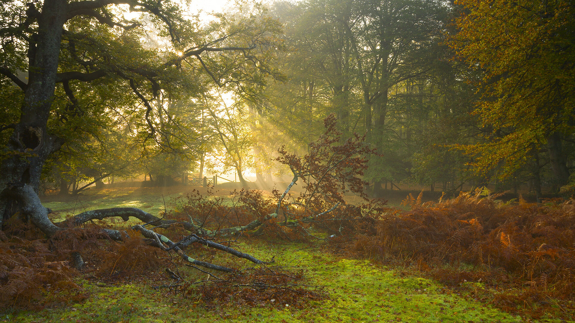 英超豪门教练更迭频繁,谁能稳住帅位?,英超主教练年薪排名