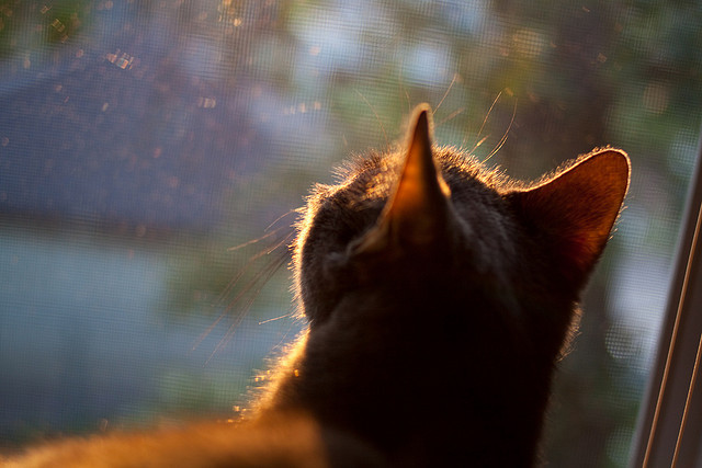 RNG选手参加国家级电竞运动员身体机能测试，rng电子竞技俱乐部选手