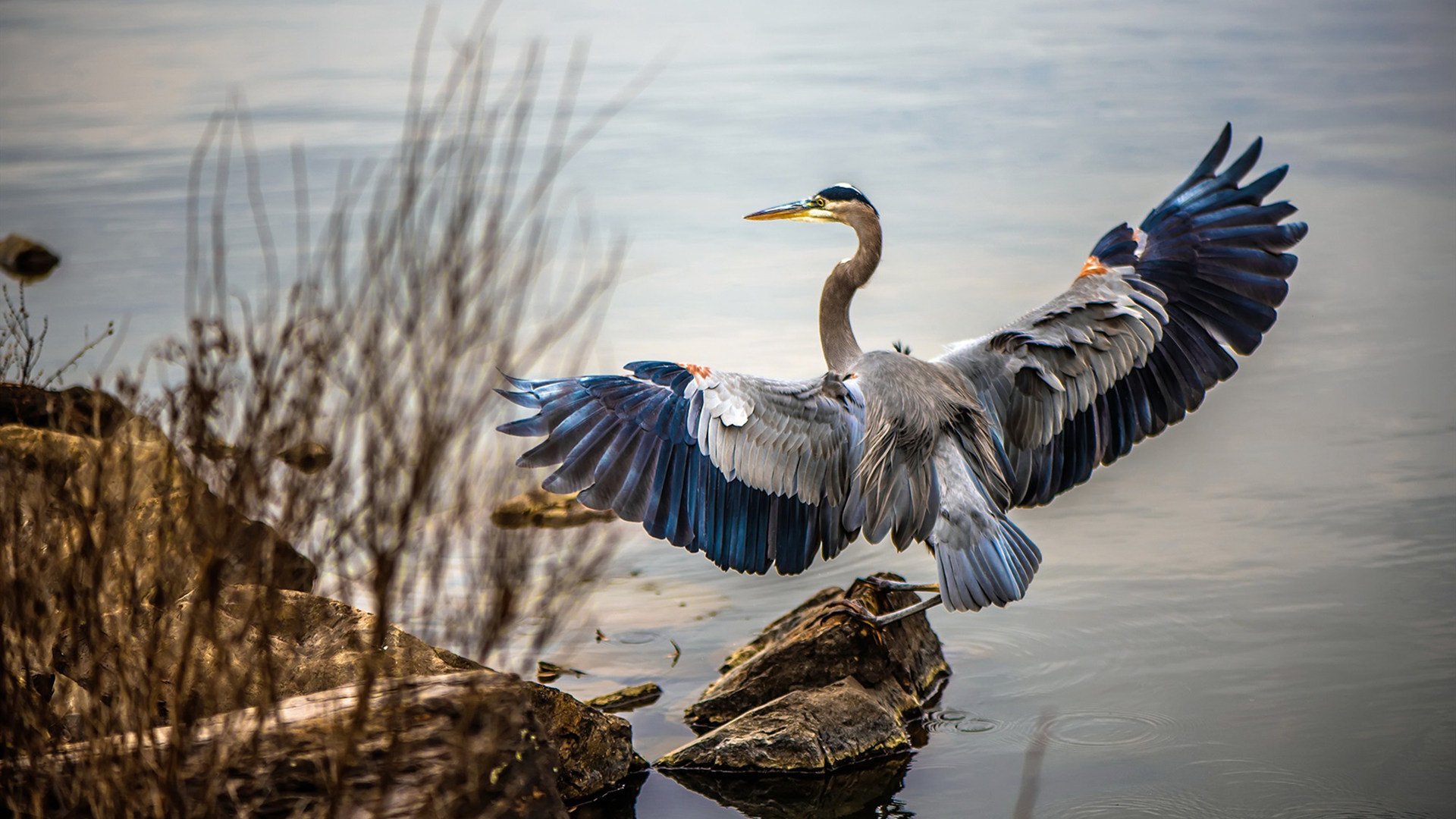 巴萨球队诡异表现，艰难晋级下一轮，巴萨逆转险胜, 失冠, 一场最能反映本赛季状态的比赛