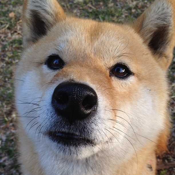 巴萨豪取客场胜利,稳坐积分榜榜首,巴萨2021客场