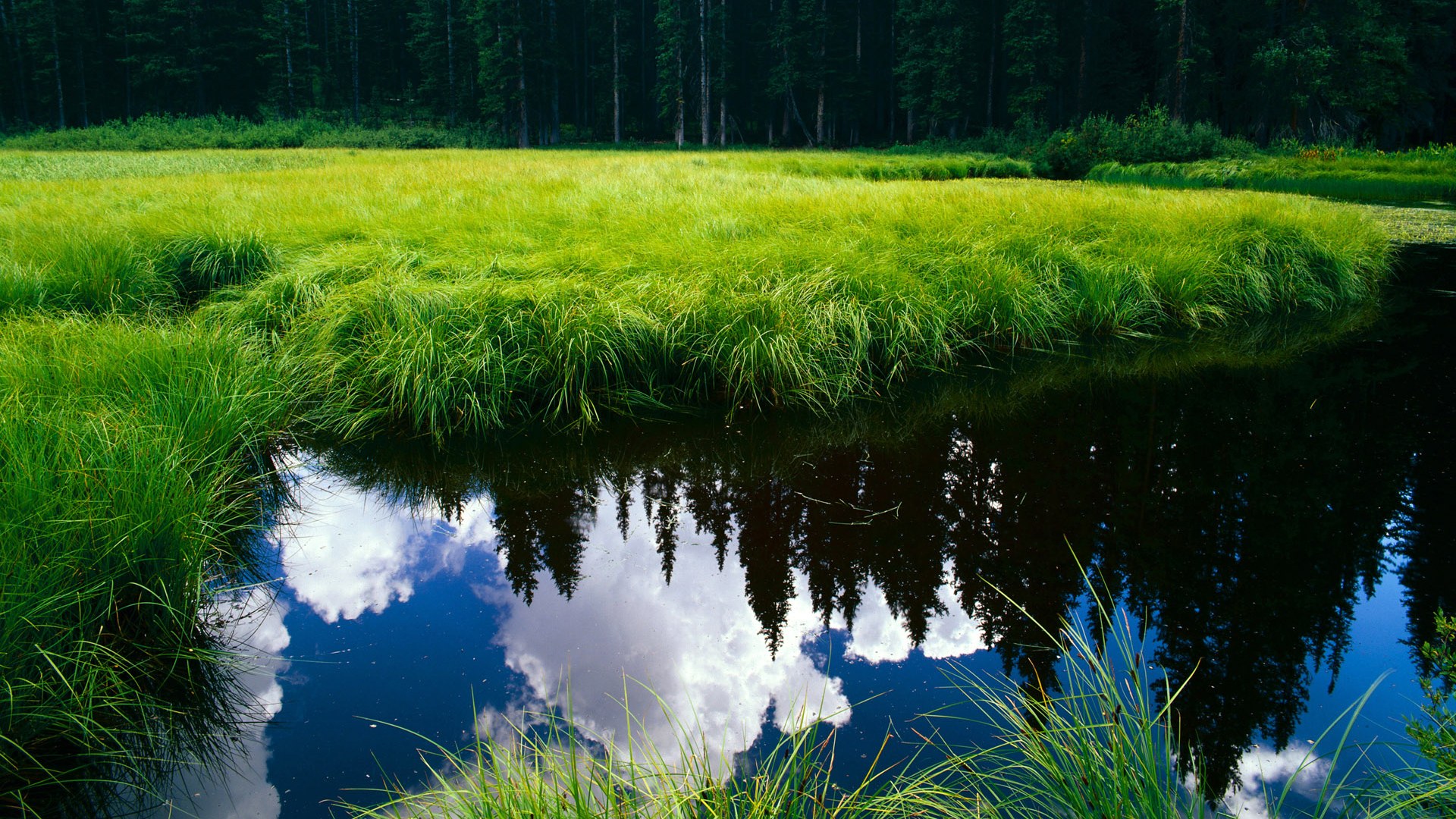 快船大胜雷霆,系列赛焦点战中乔治三分雨不断,快船和乔治的合同