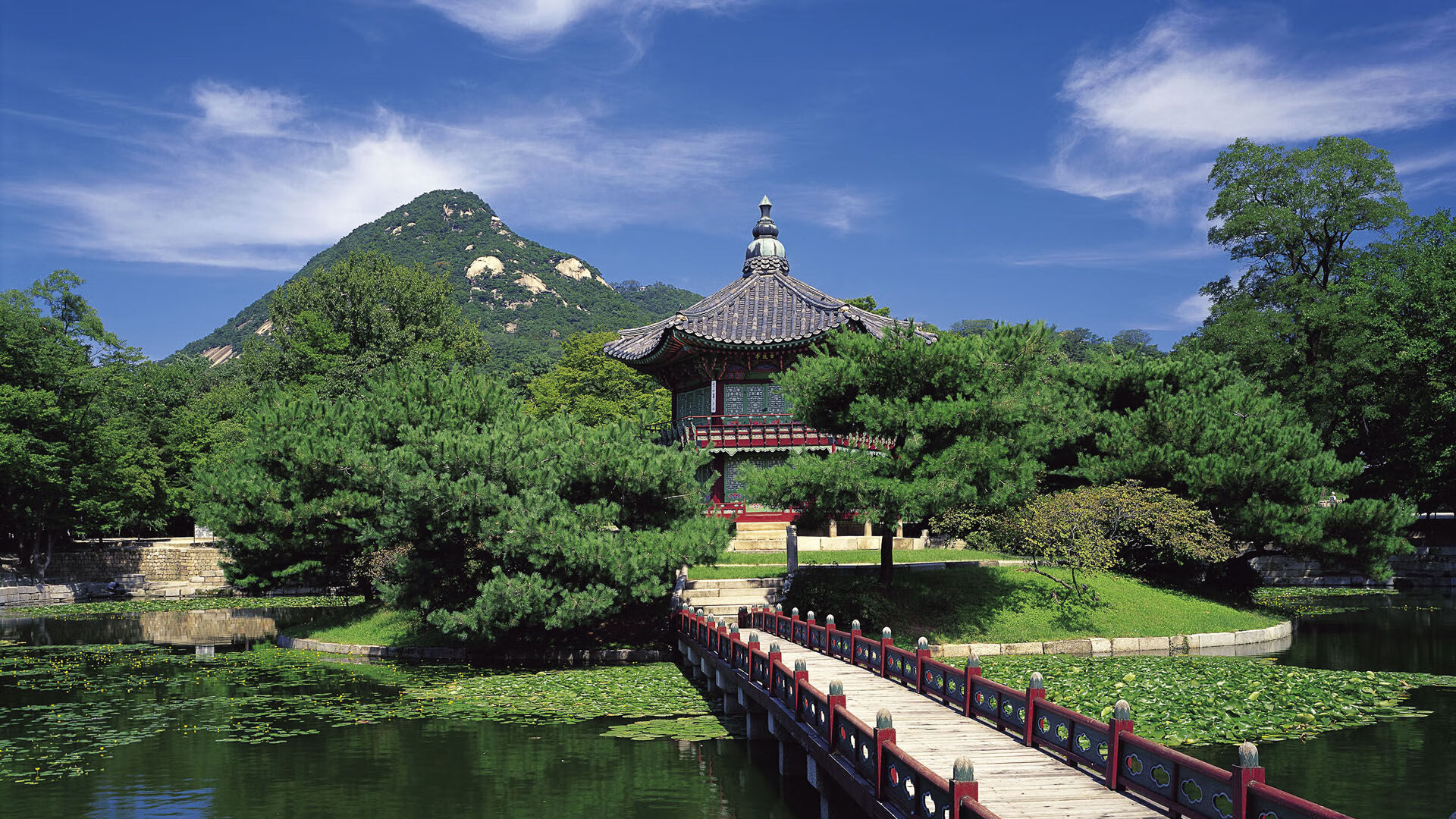 摩托GP选手法比奥·夸塔拉罗赢得2024年世界冠军，法比奥 夸塔拉罗