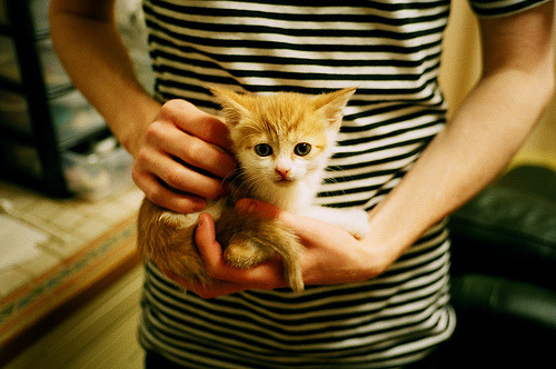 比利时队连续第五次晋级欧洲杯，称霸射手榜，比利时欧洲杯比赛结果