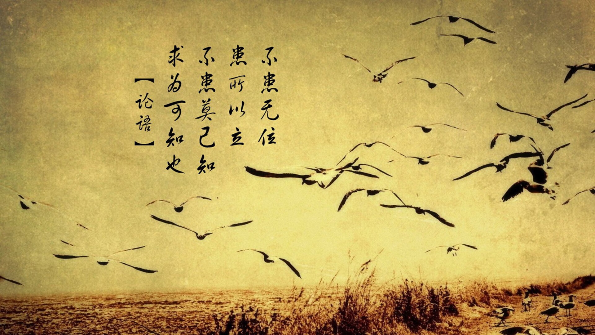 电竞游戏赛事数据挖掘技术及智能分析平台设计,电竞赛事分析软件