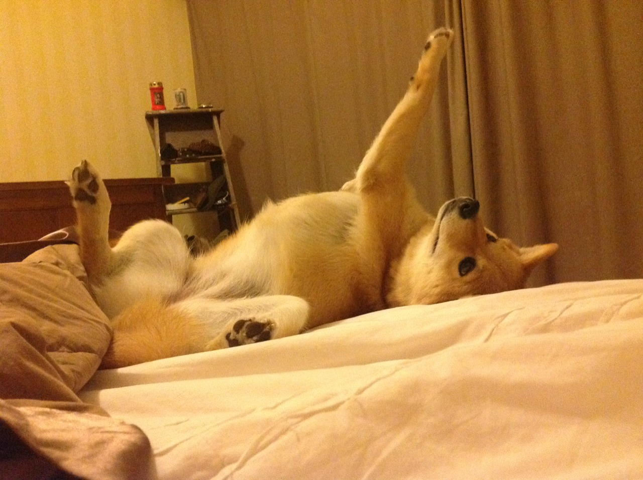 中国足球边路战术组织效率变化趋势,足球边路进攻的战术配合基本方法