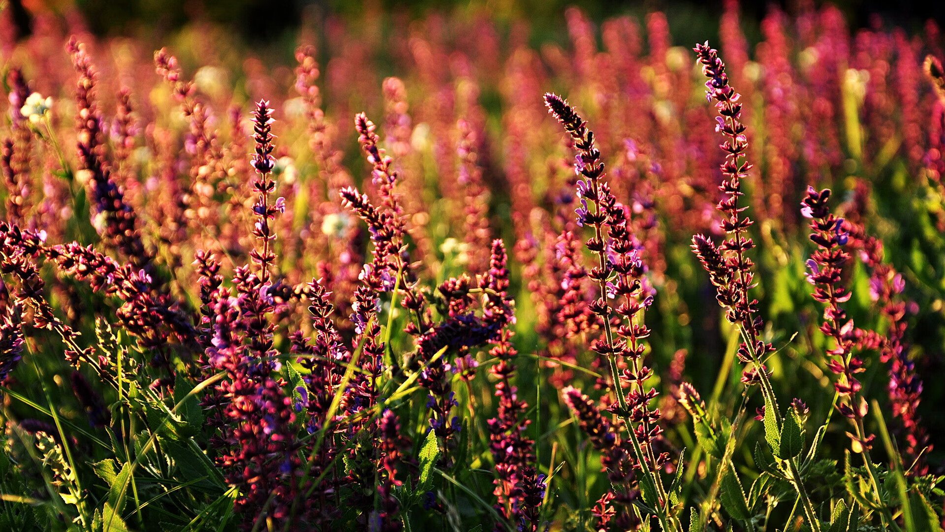 德甲防守协作效率与抢断次数的定量分析，德甲防守水平