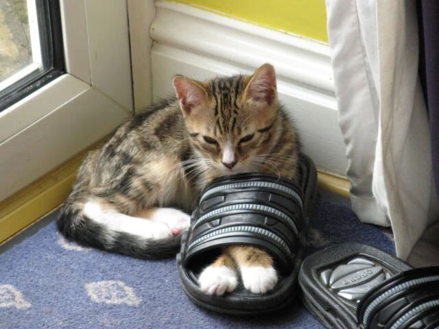 “简阳文体中心：飞扬的羽毛球赛场点燃全场热情”