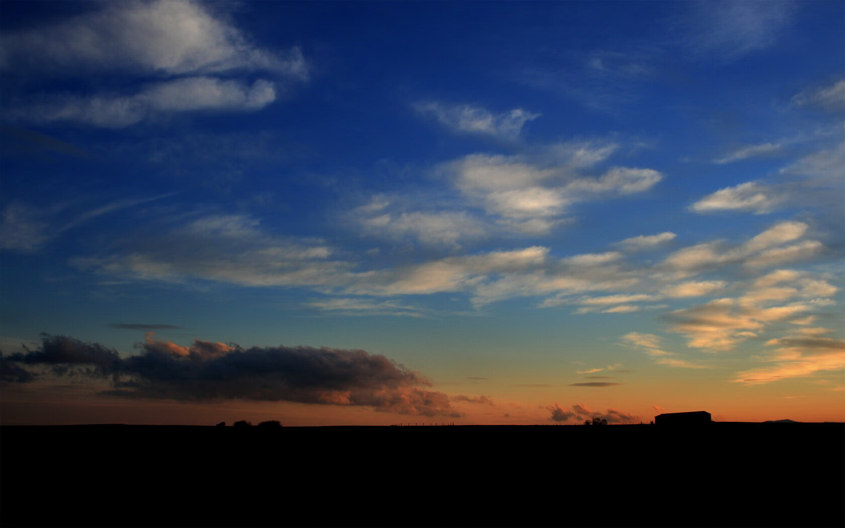 “高新体育中心:武术赛场高手云集,招式惊艳全场”