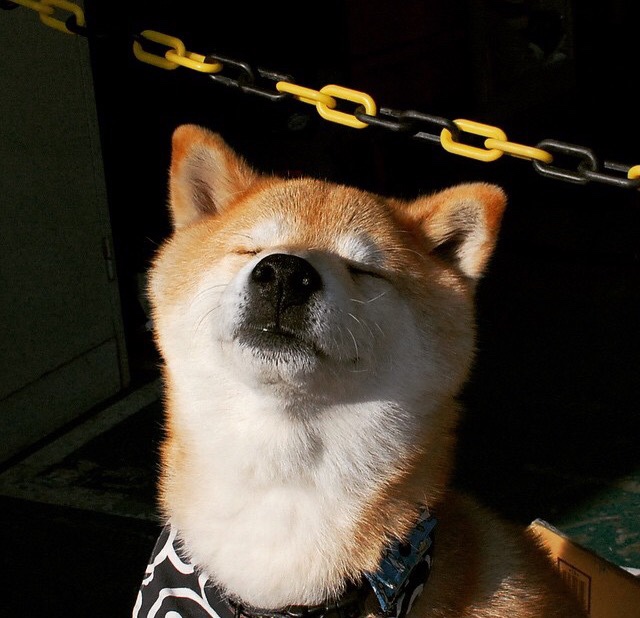 基层足球发展与教育体系脱节,基层足球发展与教育体系脱节的关系