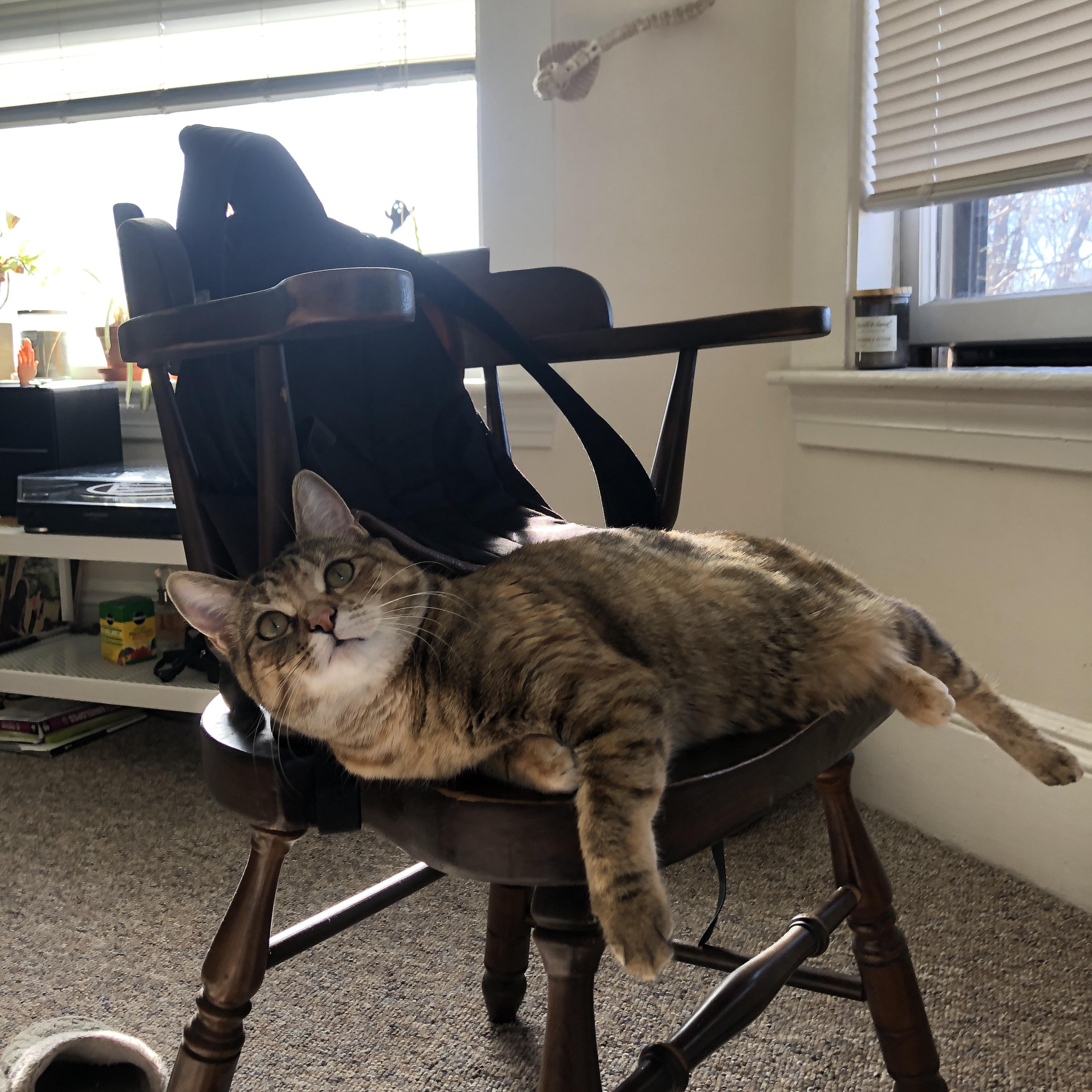 职业球员训练反馈机制未形成闭环