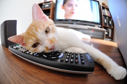 青少年足球兴趣不足,青少年足球训练建议