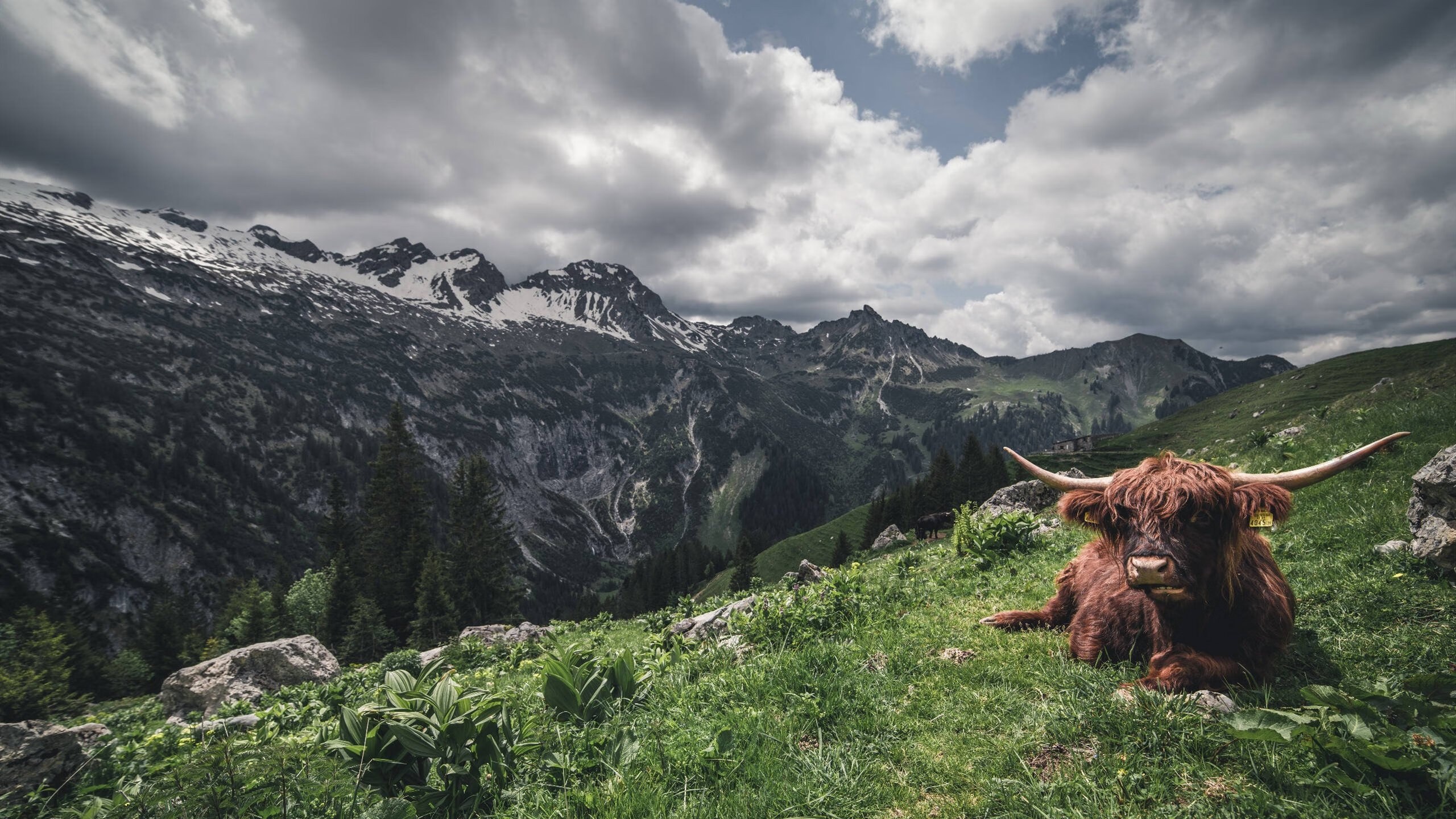 希腊男篮在欧洲锦标赛中再夺金牌,传承荣耀传统,希腊男篮拿过世锦赛冠军吗