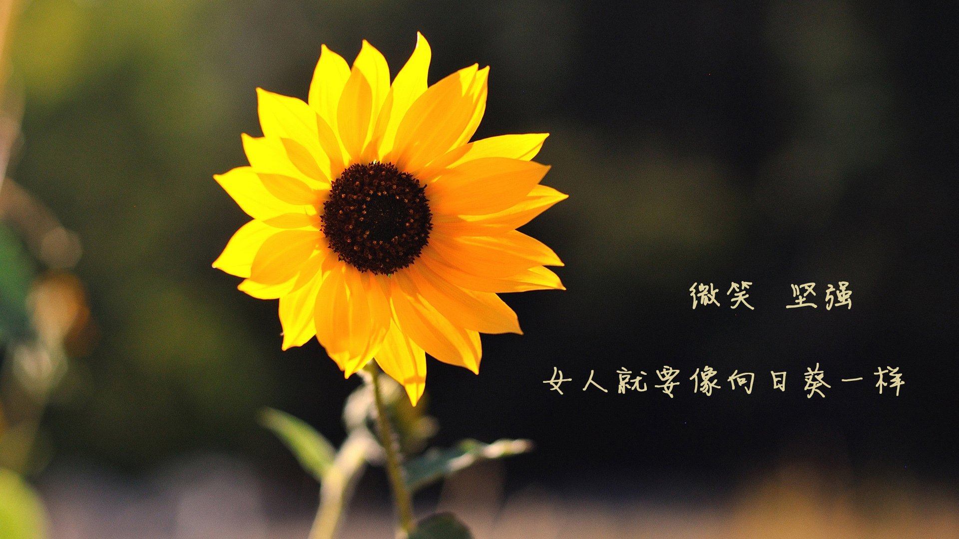 新战术体系磨合阶段失误频出需要更多实战调整