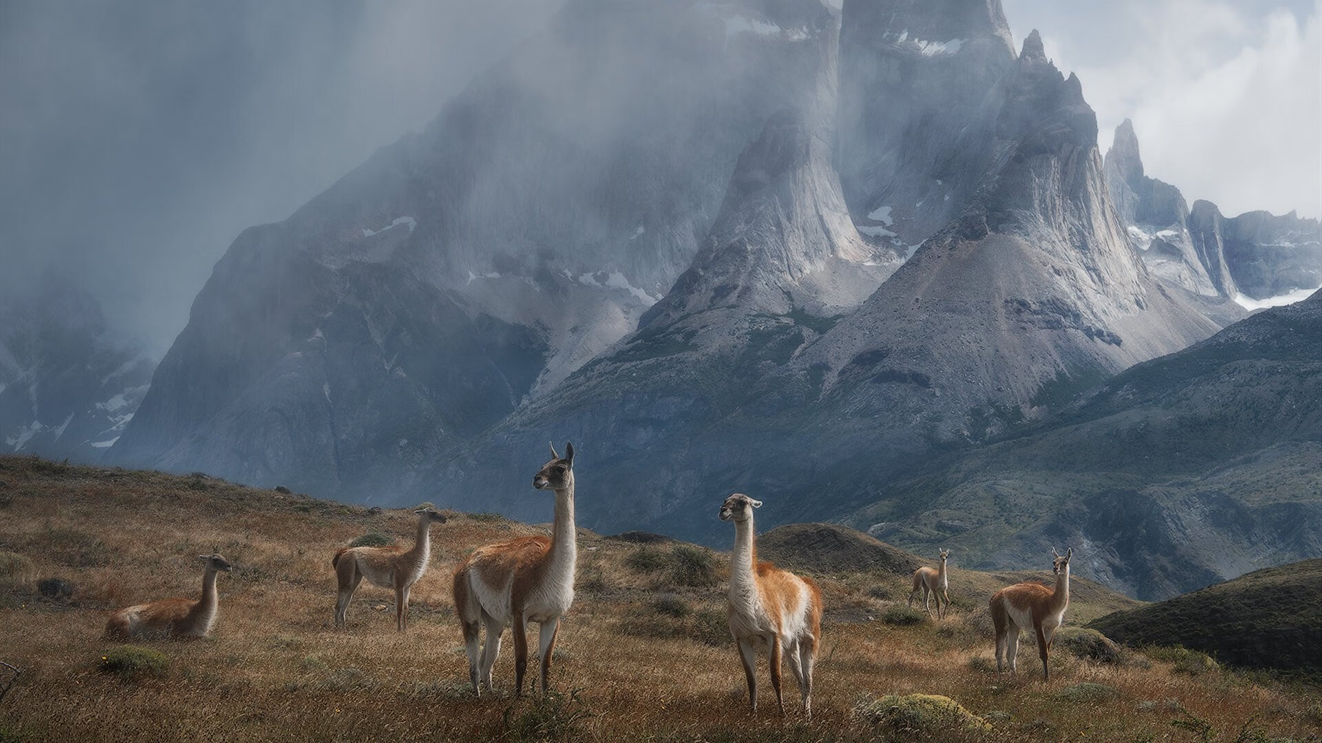 苏炳添刷新赛会纪录田径百米赛，苏炳添跑进百米决赛